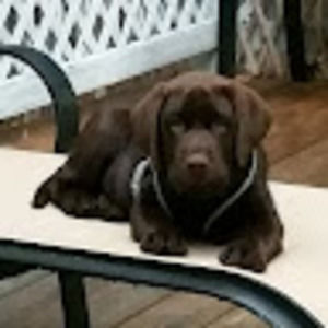 Meet your Posher, John